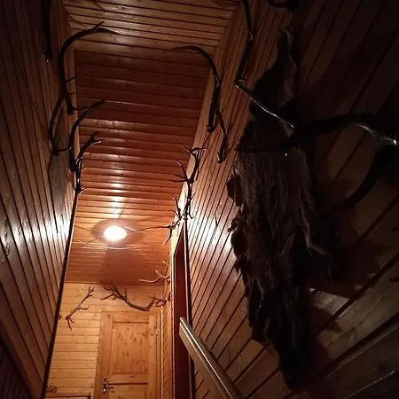 Restaurant Pension-anton אורחן