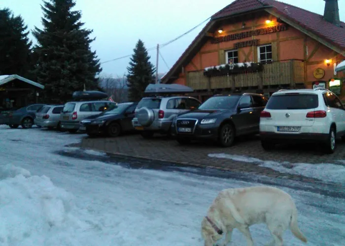Värdshus Restaurant Pension-anton Jáchymov